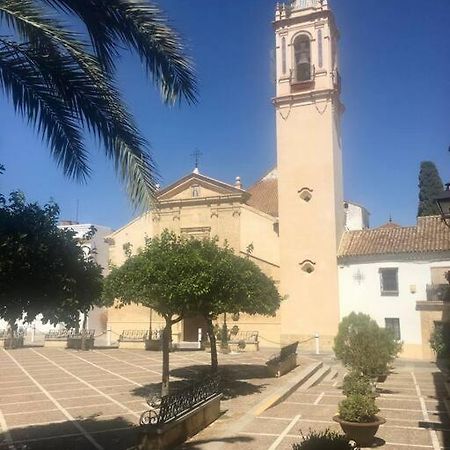 Apartament El Rincon De Manolita #3 Bornos Zewnętrze zdjęcie